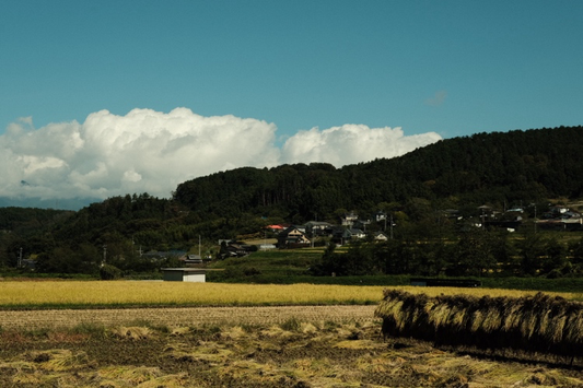 [Commons Tour] 2024 日本交流團旅記