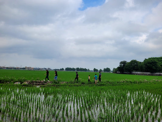 Sustainable Development in Qixi Village