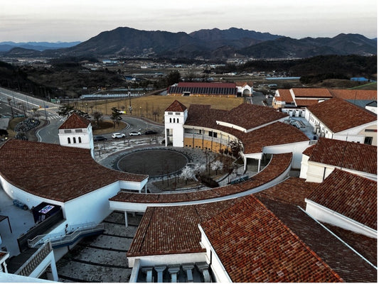 2024 JAN Korea Sharing City Study Tour