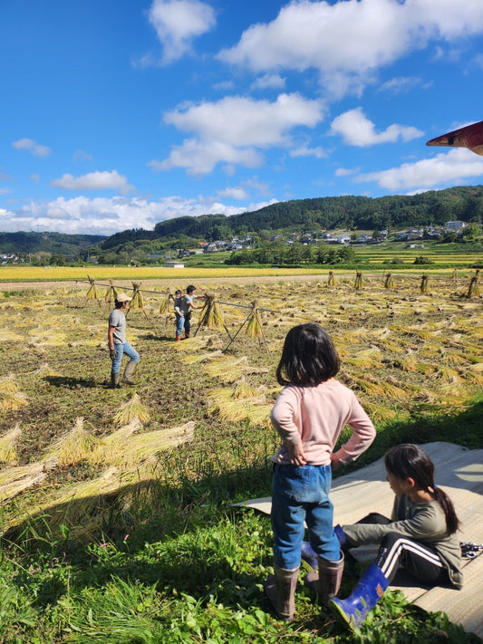 [Commons Tour] 2024 Reflection on My Journey to Japan's Cooperatives