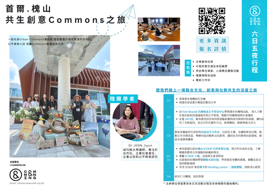 亞洲共生文化之旅 — 清邁 / 首爾 2026.01 （按金 $2,000）