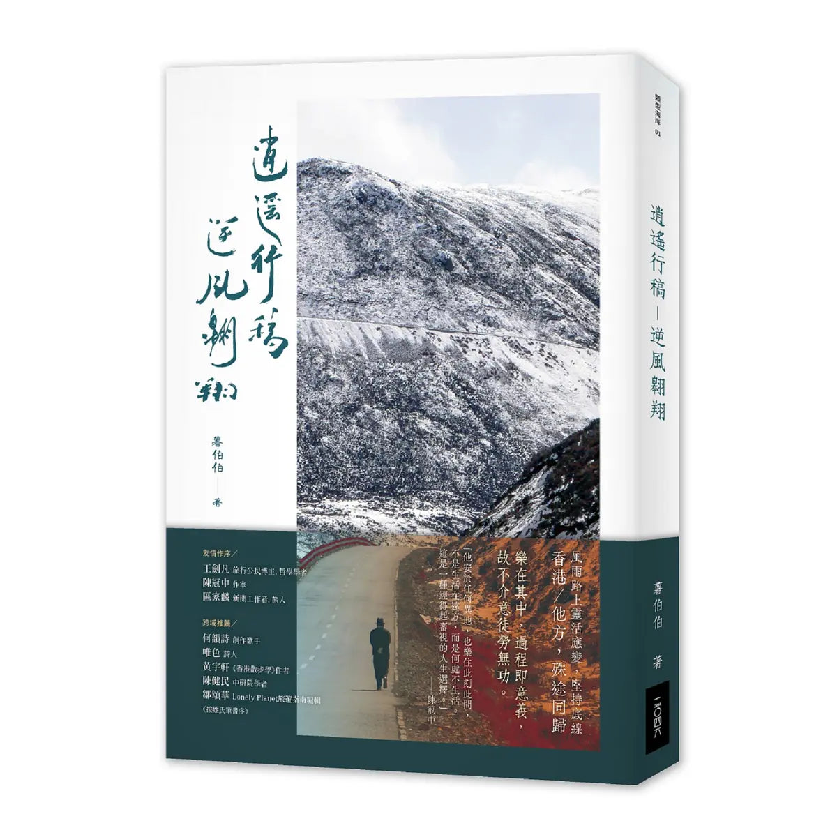 逍遙行稿: 逆風翱翔