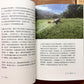 藝鵠 ACO Books - 《夕陽的光——誰說香港沒有菜園》