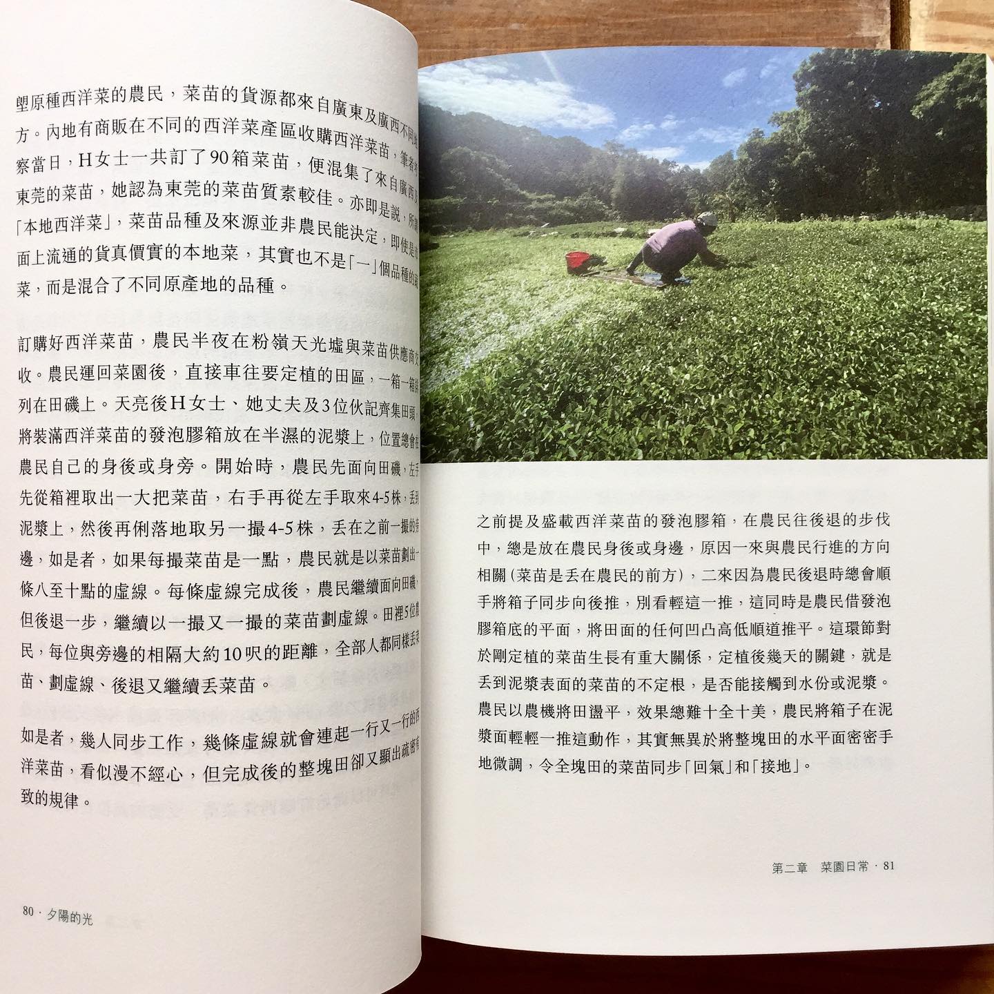 藝鵠 ACO Books - 《夕陽的光——誰說香港沒有菜園》