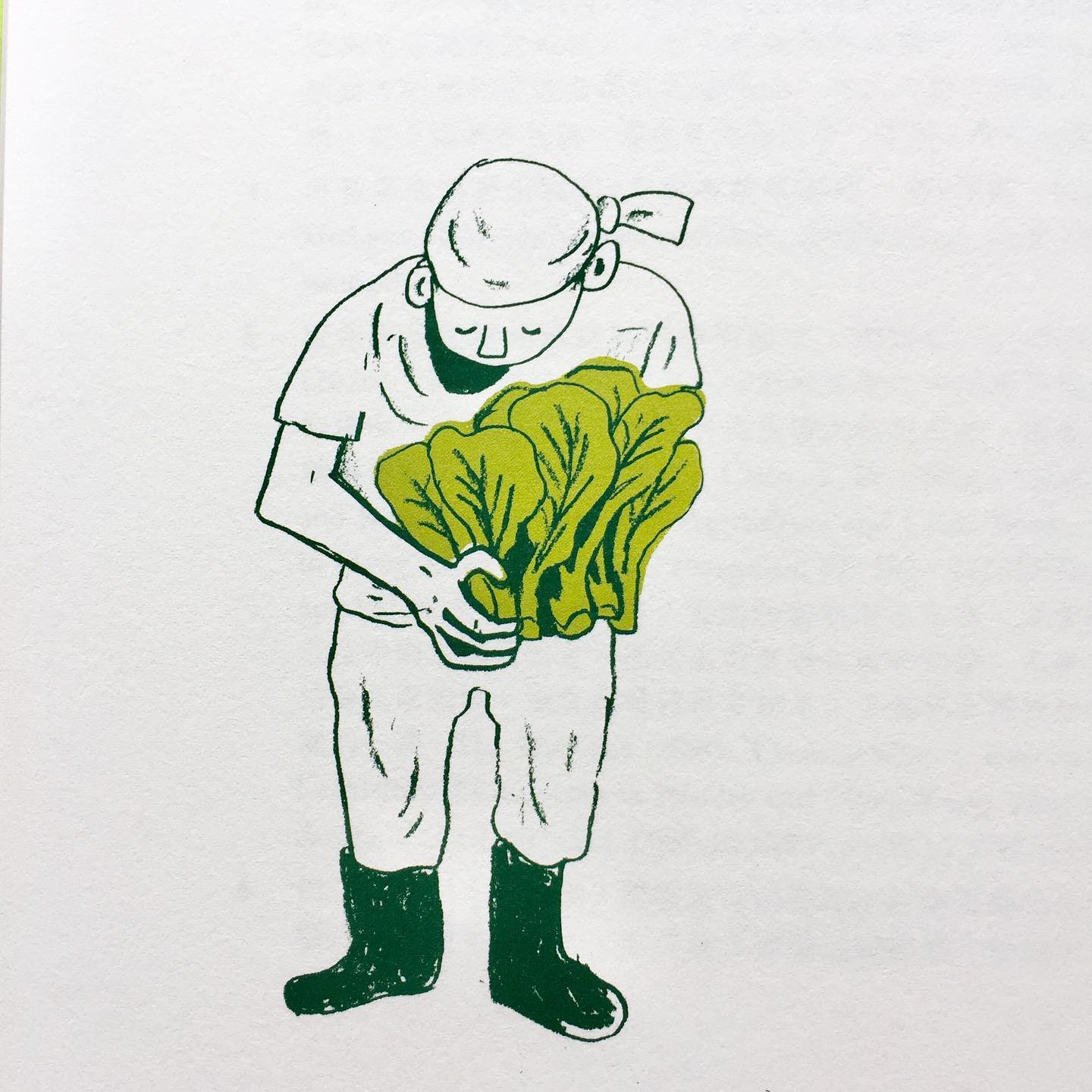 藝鵠 ACO Books - 《夕陽的光——誰說香港沒有菜園》